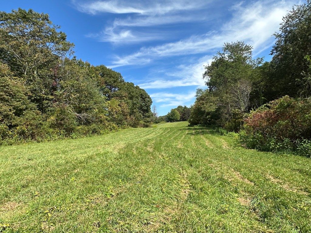 Photo of 00 TBD Belcher Mountain Road #None, Meadows of Dan, VA 24120 (MLS # 103732)