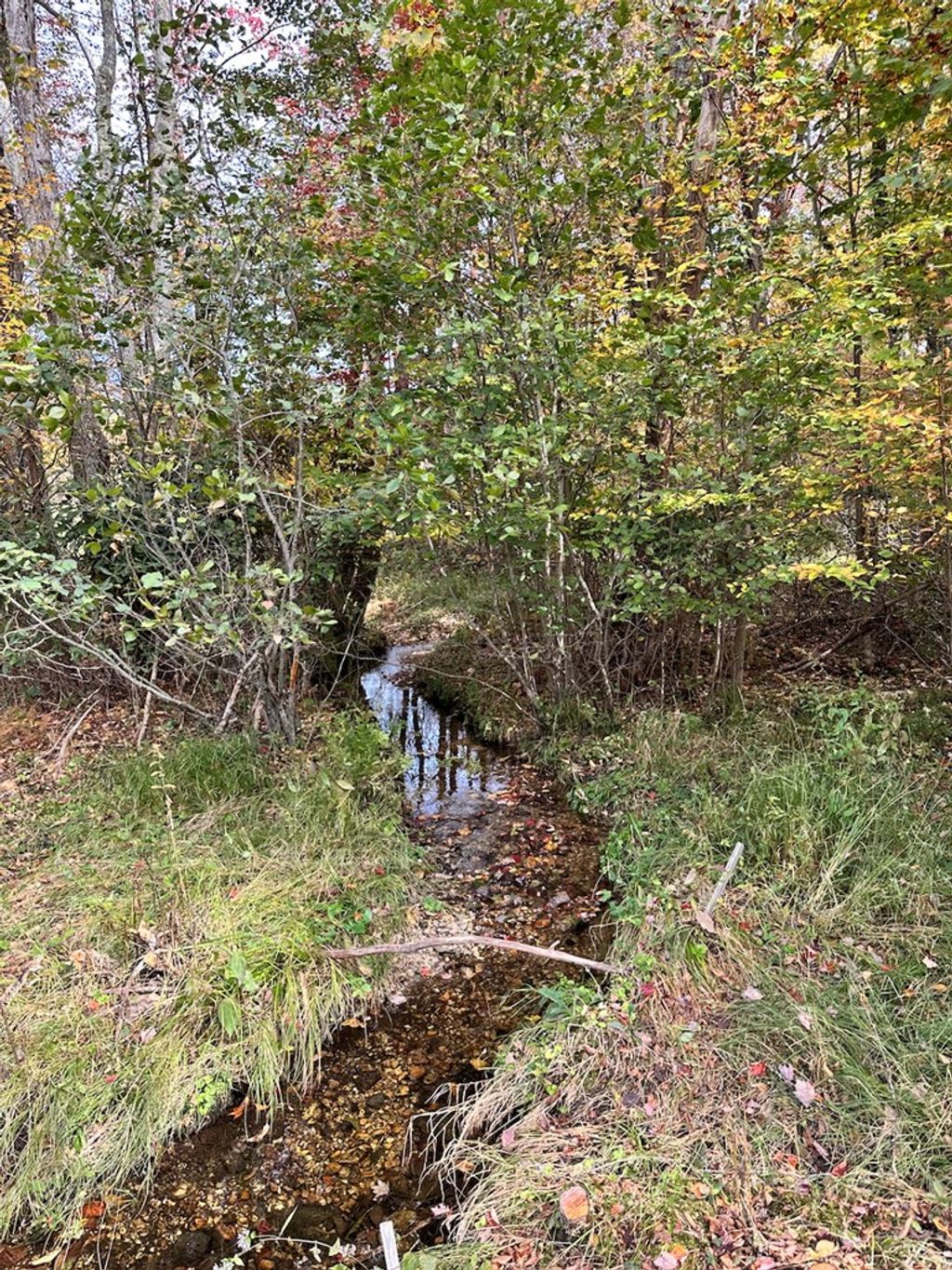 Photo of 00 TBD Belcher Mountain Road #None, Meadows of Dan, VA 24120 (MLS # 103732)