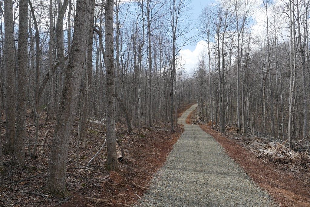 Photo of TBD Chestnut Tower Lane #0, Max Meadows, VA 24360 (MLS # 109153)