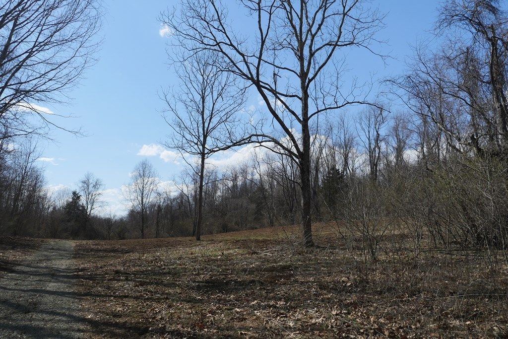 Photo of TBD Chestnut Tower Lane #0, Max Meadows, VA 24360 (MLS # 109153)