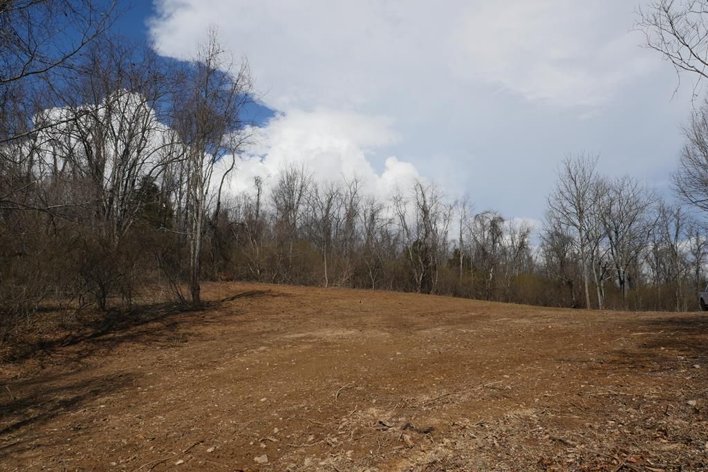 Photo of TBD Chestnut Tower Lane #0, Max Meadows, VA 24360 (MLS # 109153)