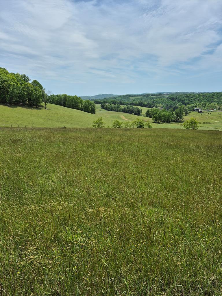 Photo of TBD Bent Nail #20, Hillsville, VA 24343 (MLS # 111749)