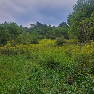 949 PALMER AVE, SALTVILLE, VA 24370 - Image c232046742d8be4d9bdfc33217fdcda2/1641200529