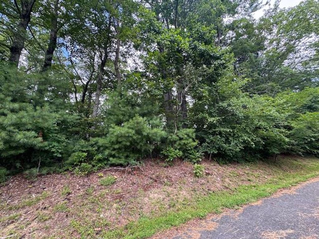 Photo of TBD Antler Point #14 , 15, Hillsville, VA 24343 (MLS # 100634)