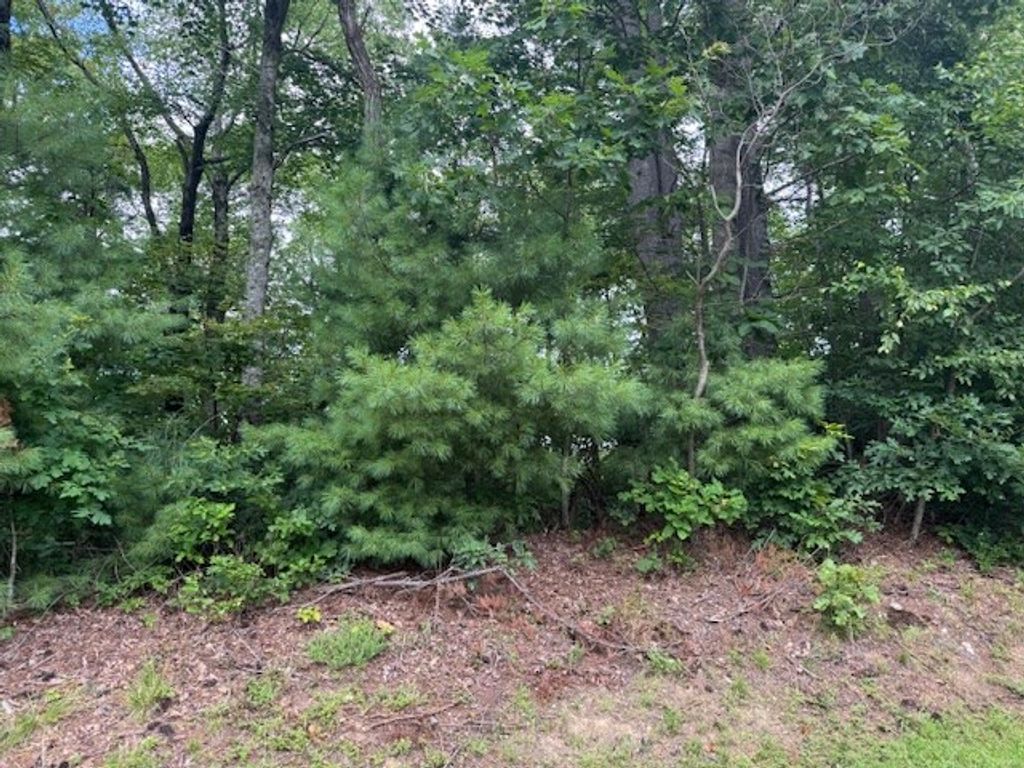 Photo of TBD Antler Point #14 , 15, Hillsville, VA 24343 (MLS # 100634)