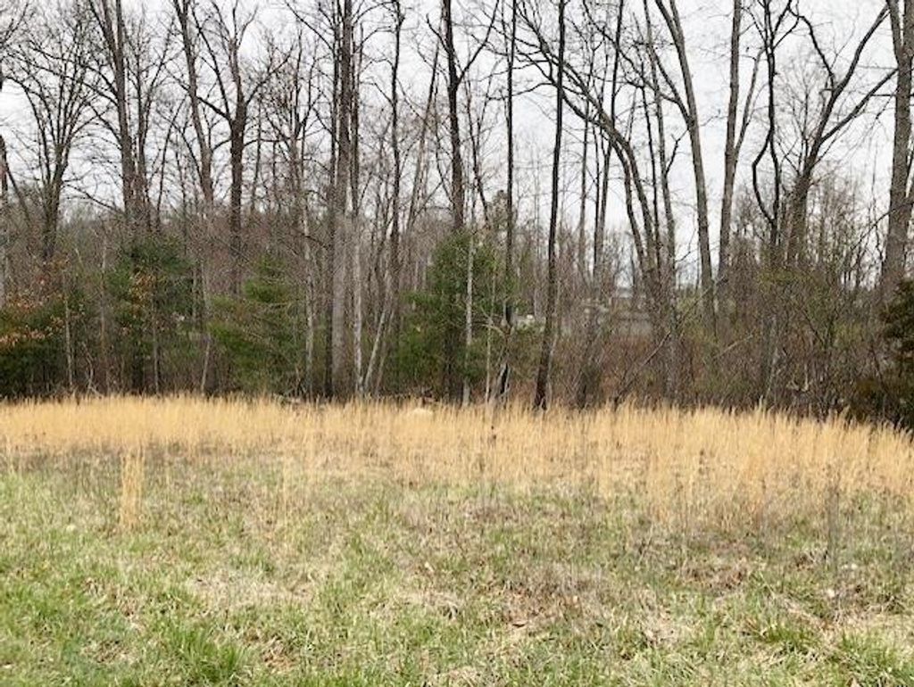 Photo of TBD Della Lane #6,8, Austinville, VA 24312 (MLS # 109227)