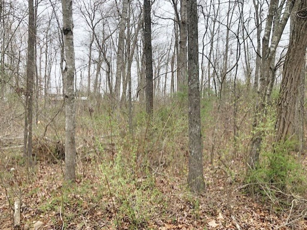 Photo of TBD Della Lane #6,8, Austinville, VA 24312 (MLS # 109227)