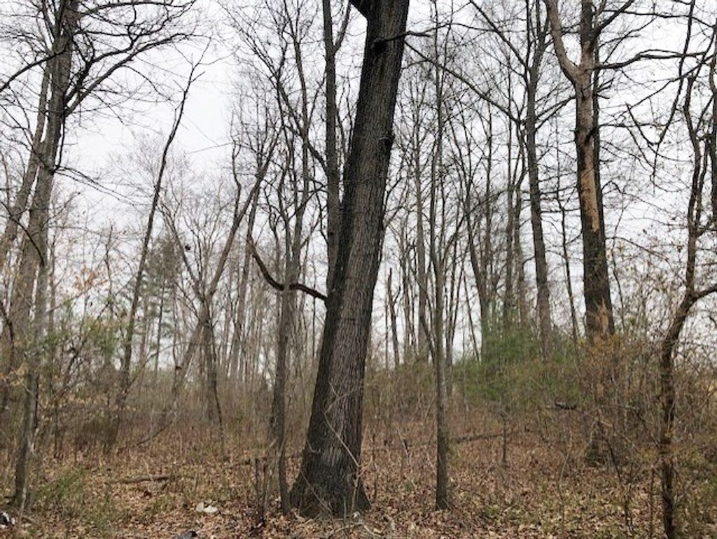 Photo of TBD Della Lane #6,8, Austinville, VA 24312 (MLS # 109227)