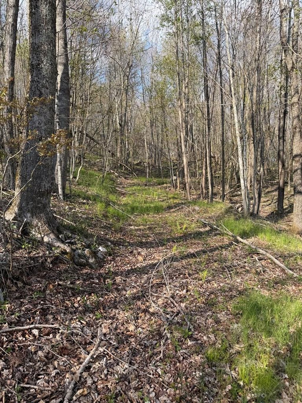 Photo of TBD Holiday Lane #12, Whitetop, VA 24292 (MLS # 109822)