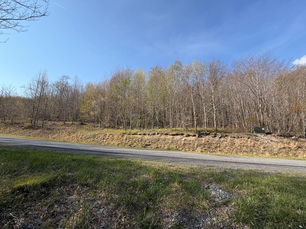 Photo of TBD Holiday Lane #12, Whitetop, VA 24292 (MLS # 109822)