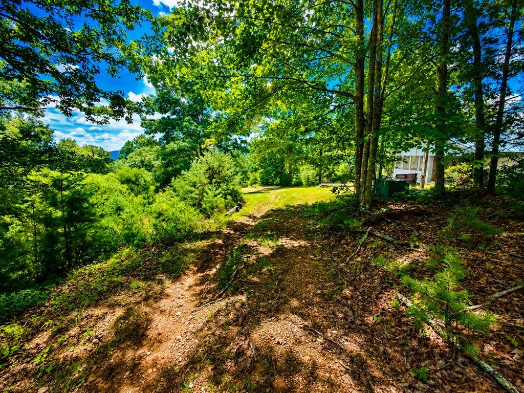 Photo of 640 Gator Mountain Road #New Tract 3, Indian Valley, VA 24105 (MLS # 111101)