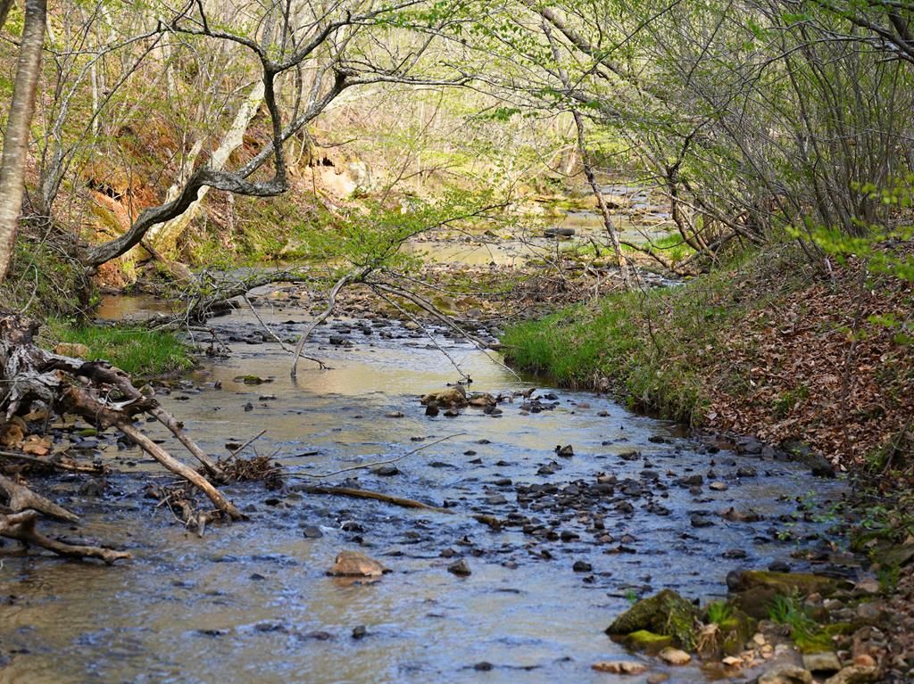 Photo of TBD Carver Lee Road #n/a, Henry, VA 24102 (MLS # 109525)