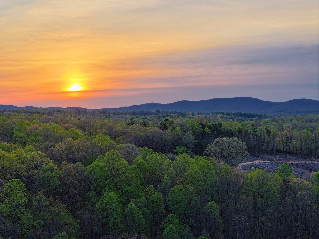 Photo of TBD Carver Lee Road #n/a, Henry, VA 24102 (MLS # 109525)