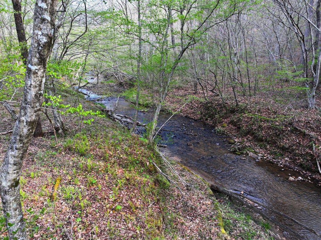 Photo of TBD Carver Lee Road #n/a, Henry, VA 24102 (MLS # 109525)