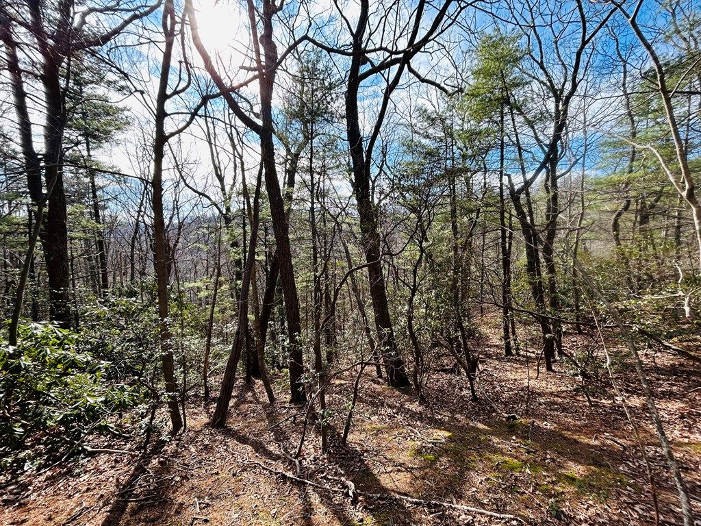 Photo of TBD Chalet Dr #3, Fancy Gap, VA 24328 (MLS # 109302)