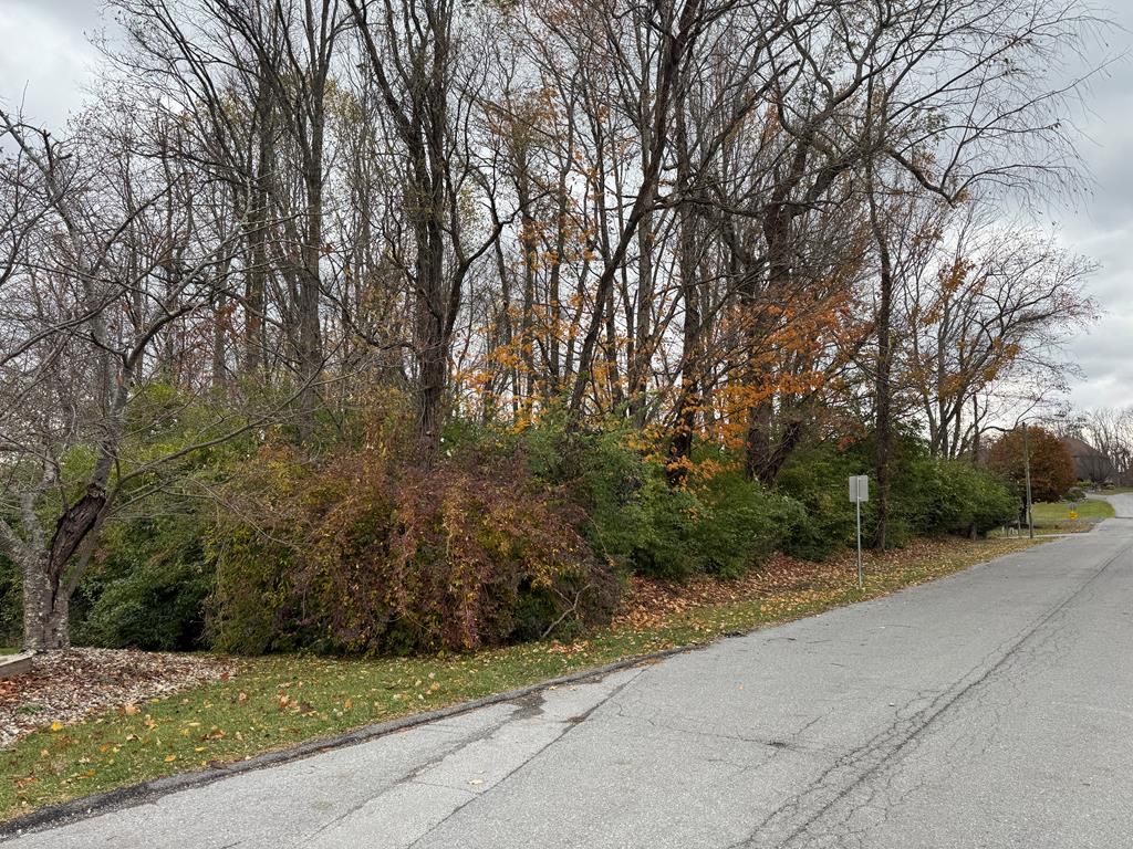 Photo of 0 Robin St #27, Bluefield, VA 24605 (MLS # 104116)