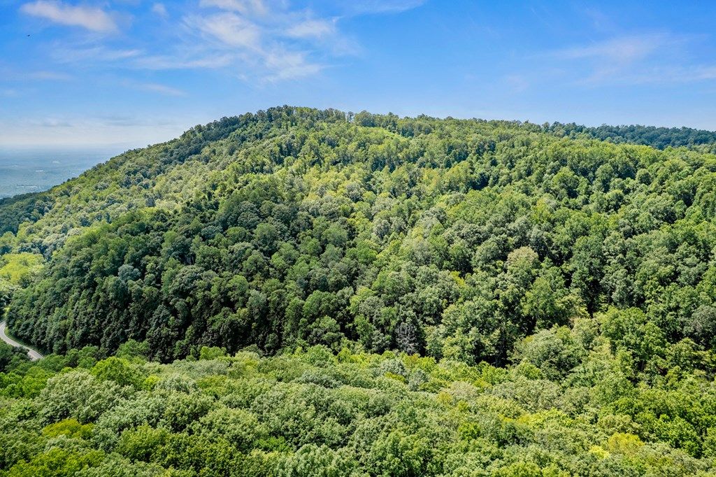 Photo of TBD Old Mill Court #5, Fancy Gap, VA 24328 (MLS # 109345)