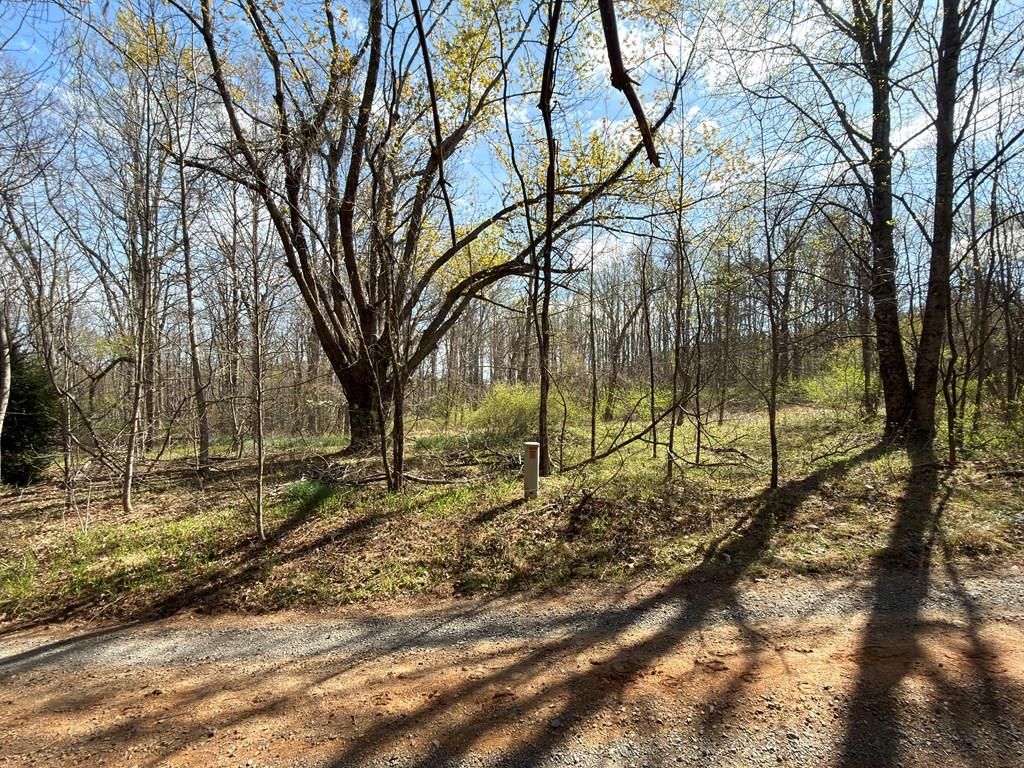 Photo of TBD Gunny Sack Trail #N/A, Hillsville, VA 24343 (MLS # 109612)