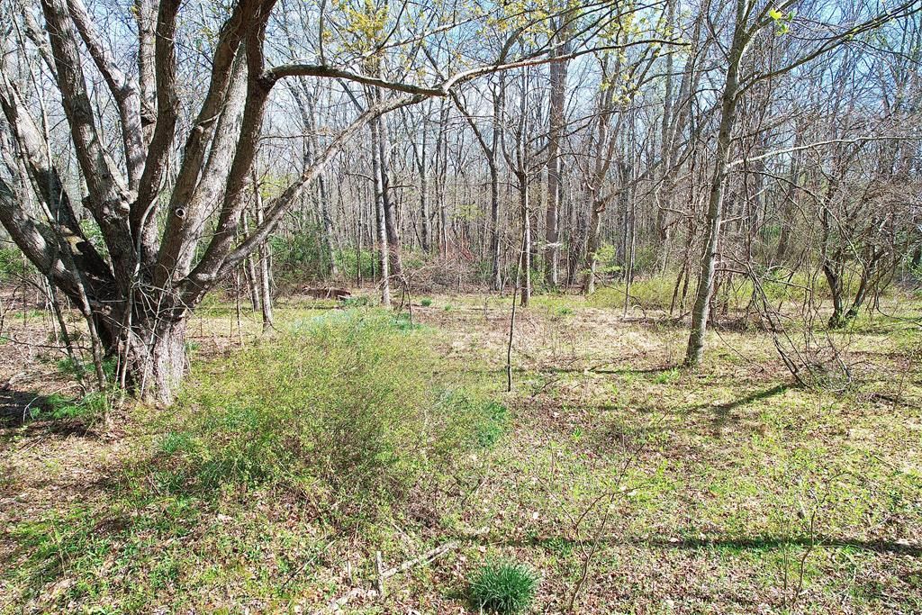 Photo of TBD Gunny Sack Trail #N/A, Hillsville, VA 24343 (MLS # 109612)