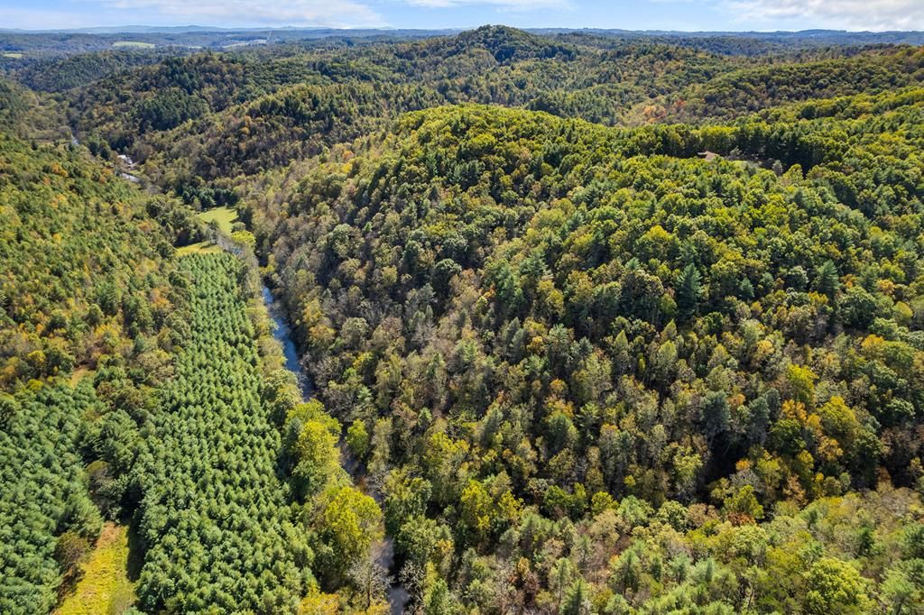 Photo of TBD Scratch Gravel Rd #0, Max Meadows, VA 24360 (MLS # 103745)
