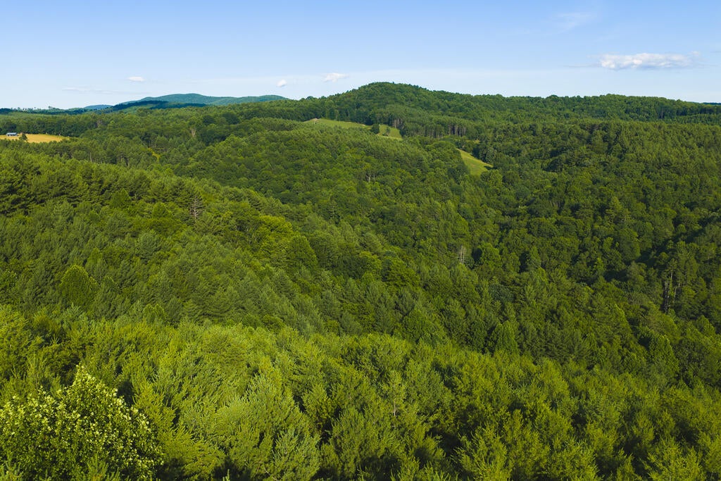 Photo of TBD Sawmill Hill Rd #1, Willis, VA 24380 (MLS # 111456)