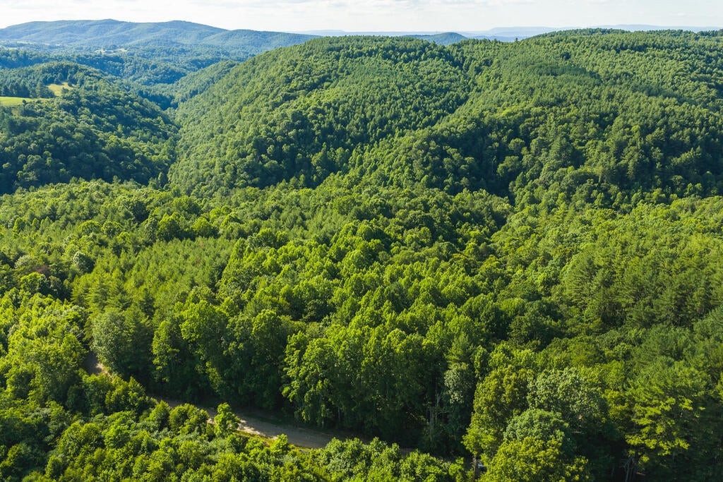 Photo of TBD Sawmill Hill Rd #1, Willis, VA 24380 (MLS # 111456)