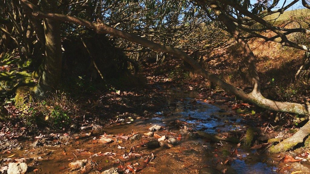 Photo of 2038 Pilot View Dr, Hillsville, VA 24343 (MLS # 109507)