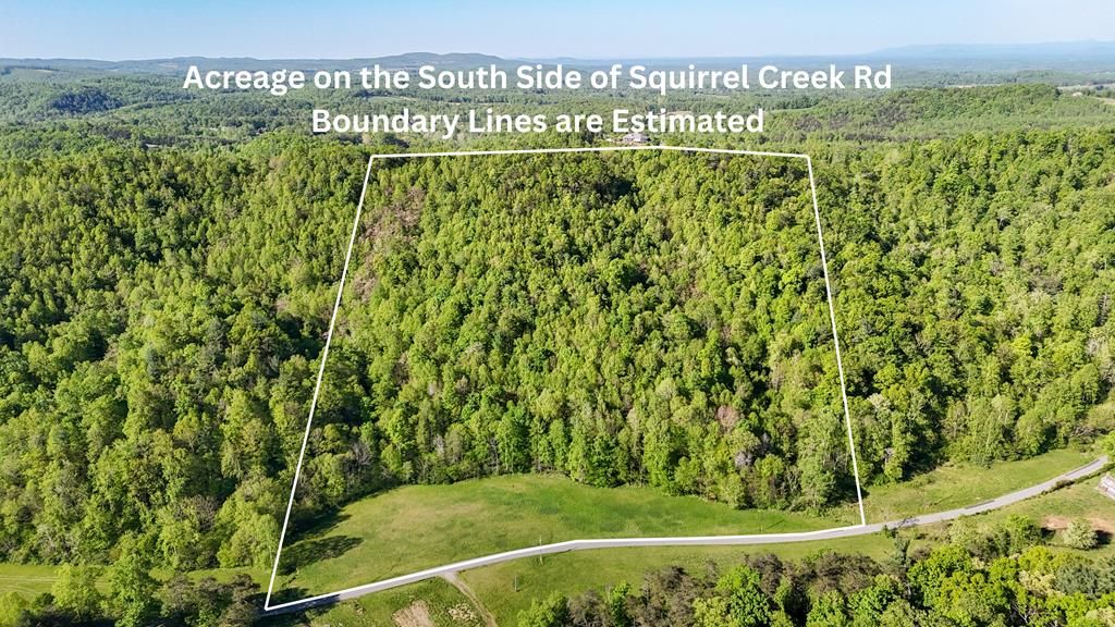 Photo of 1618 Squirrel Creek Road #n/a, Ararat, VA 24053 (MLS # 109790)