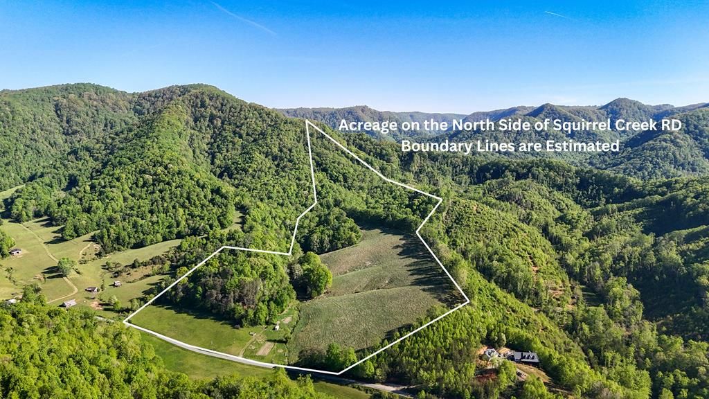 Photo of 1618 Squirrel Creek Road #n/a, Ararat, VA 24053 (MLS # 109790)