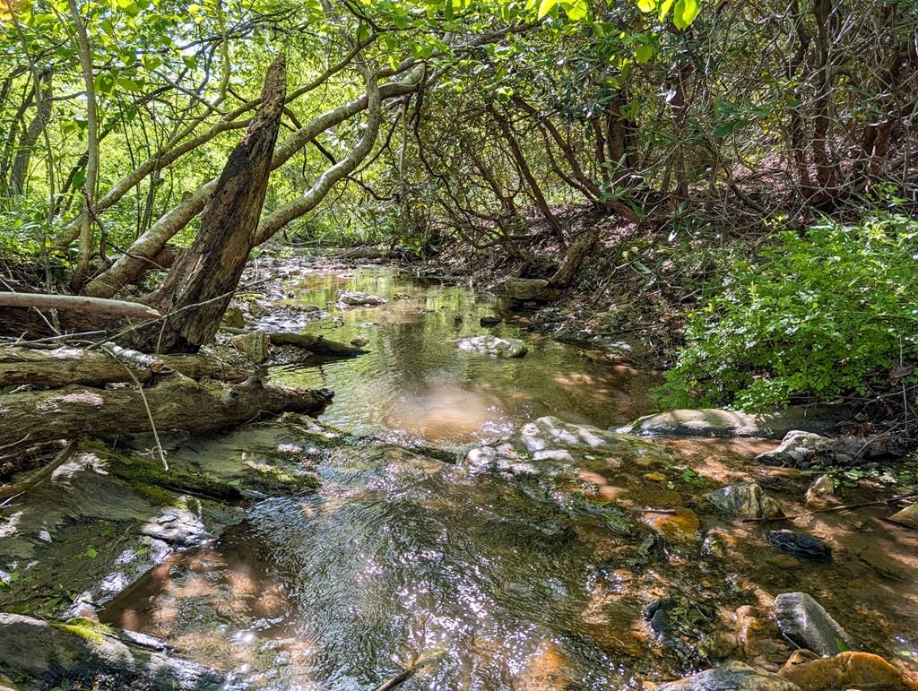 Photo of 1618 Squirrel Creek Road #n/a, Ararat, VA 24053 (MLS # 109790)