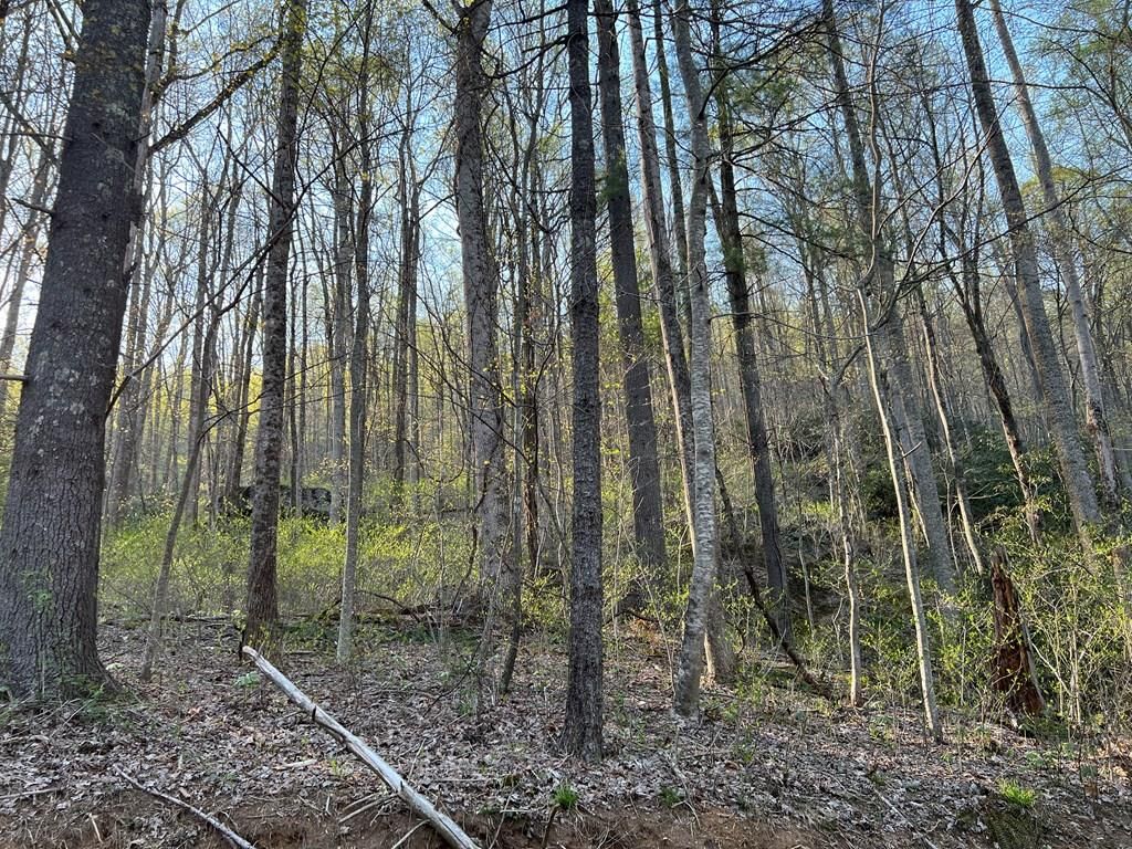 Photo of TBD Briar Rock Trail #T-17, Fancy Gap, VA 24328 (MLS # 88780)