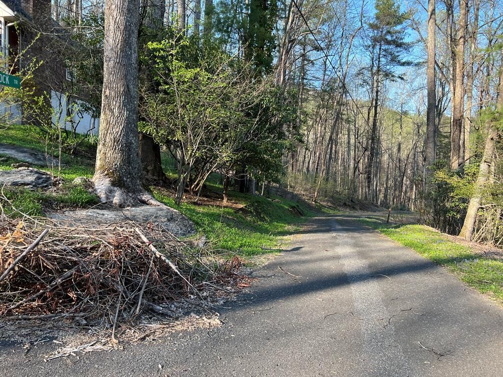 Photo of TBD Briar Rock Trail #T-17, Fancy Gap, VA 24328 (MLS # 88780)