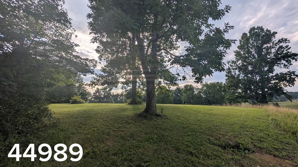 Photo of TBD Village Loop #31, Abingdon, VA 24210 (MLS # 110949)