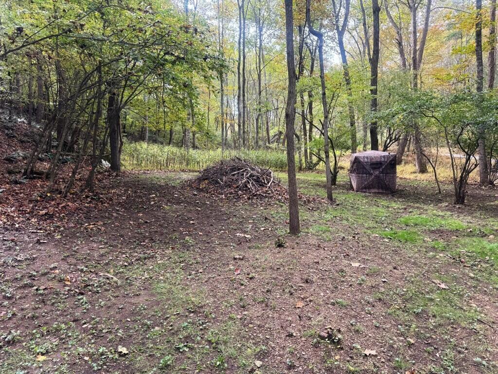 Photo of TBD Collins Cove Rd, Ivanhoe, VA 24350 (MLS # 112270)