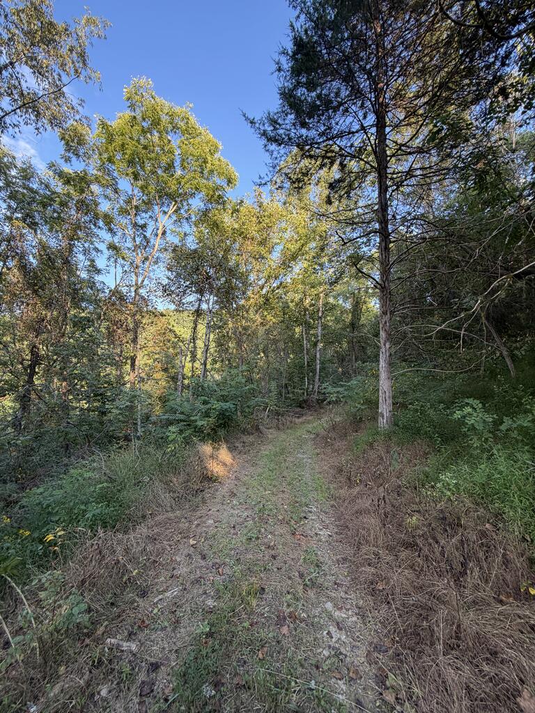 Photo of TBD Caney Valley Rd #41, Bristol, VA 24202 (MLS # 111781)