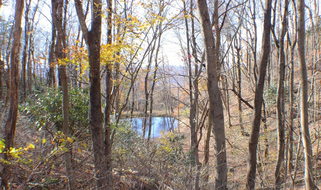 Photo of 1 Gulch Rd #108, Meadows of Dan, VA 24120 (MLS # 98453)