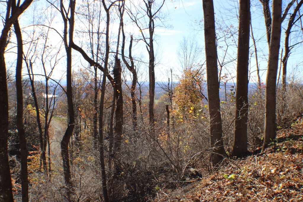 Photo of 1 Gulch Rd #108, Meadows of Dan, VA 24120 (MLS # 98453)