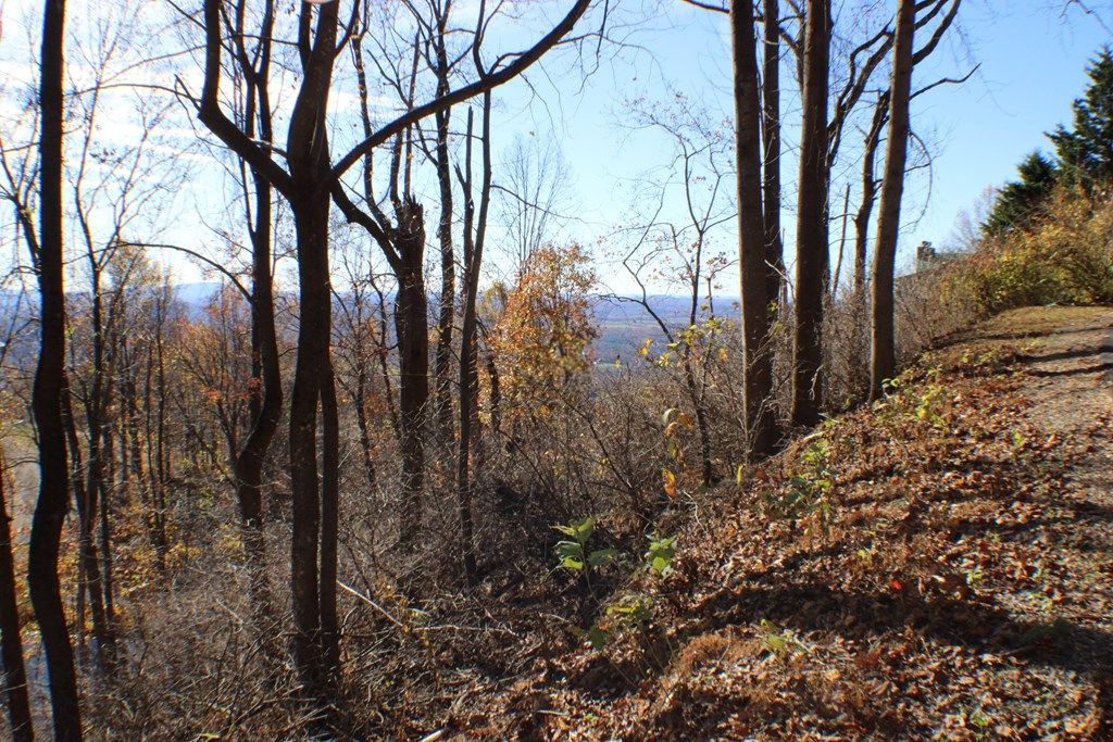Photo of 1 Gulch Rd #108, Meadows of Dan, VA 24120 (MLS # 98453)
