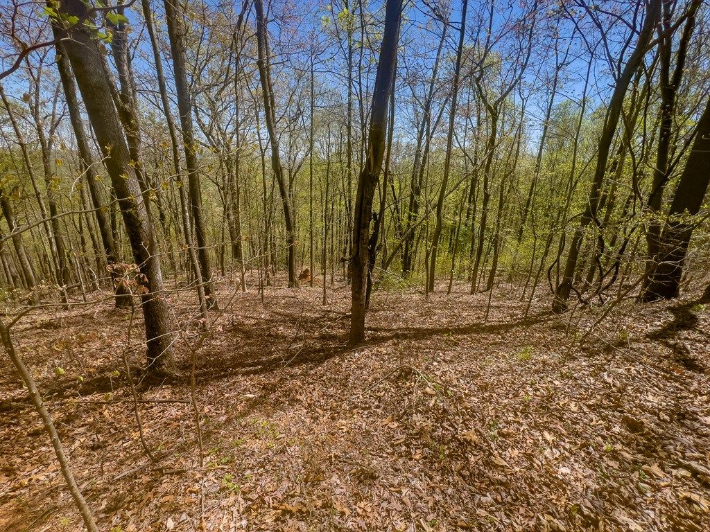 Photo of TBD Yellow Locust Dr #196A, Fancy Gap, VA 24328 (MLS # 99603)