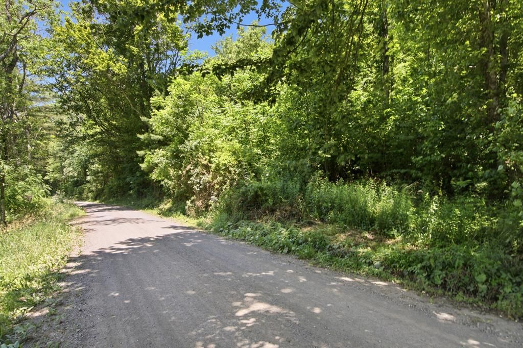Photo of TBD Walter Branscome Rd #A&amp;C, Hillsville, VA 24343 (MLS # 110628)