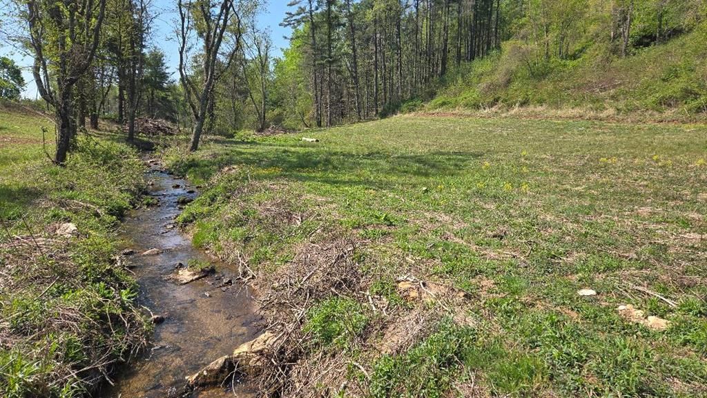 Photo of TBD Tilley Lane #n/a, Fancy Gap, VA 24328 (MLS # 109816)