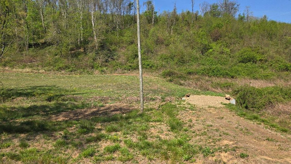 Photo of TBD Tilley Lane #n/a, Fancy Gap, VA 24328 (MLS # 109816)