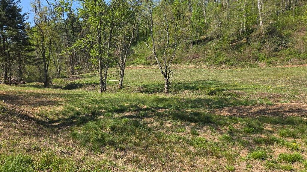 Photo of TBD Tilley Lane #n/a, Fancy Gap, VA 24328 (MLS # 109816)