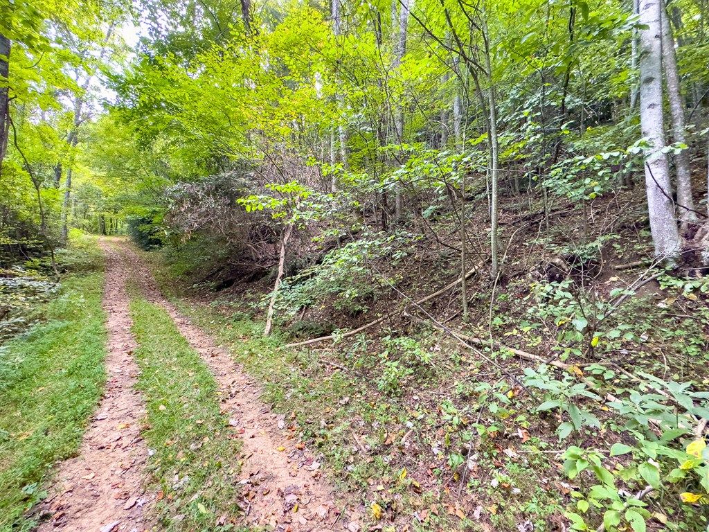 Photo of 3 Covered Bridge Trl #258 259 &amp; 208, Fancy Gap, VA 24328 (MLS # 110136)