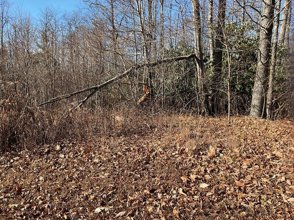 Photo of TBD West Pheasant Chase #21 ans 22, Fancy Gap, VA 24328 (MLS # 104234)