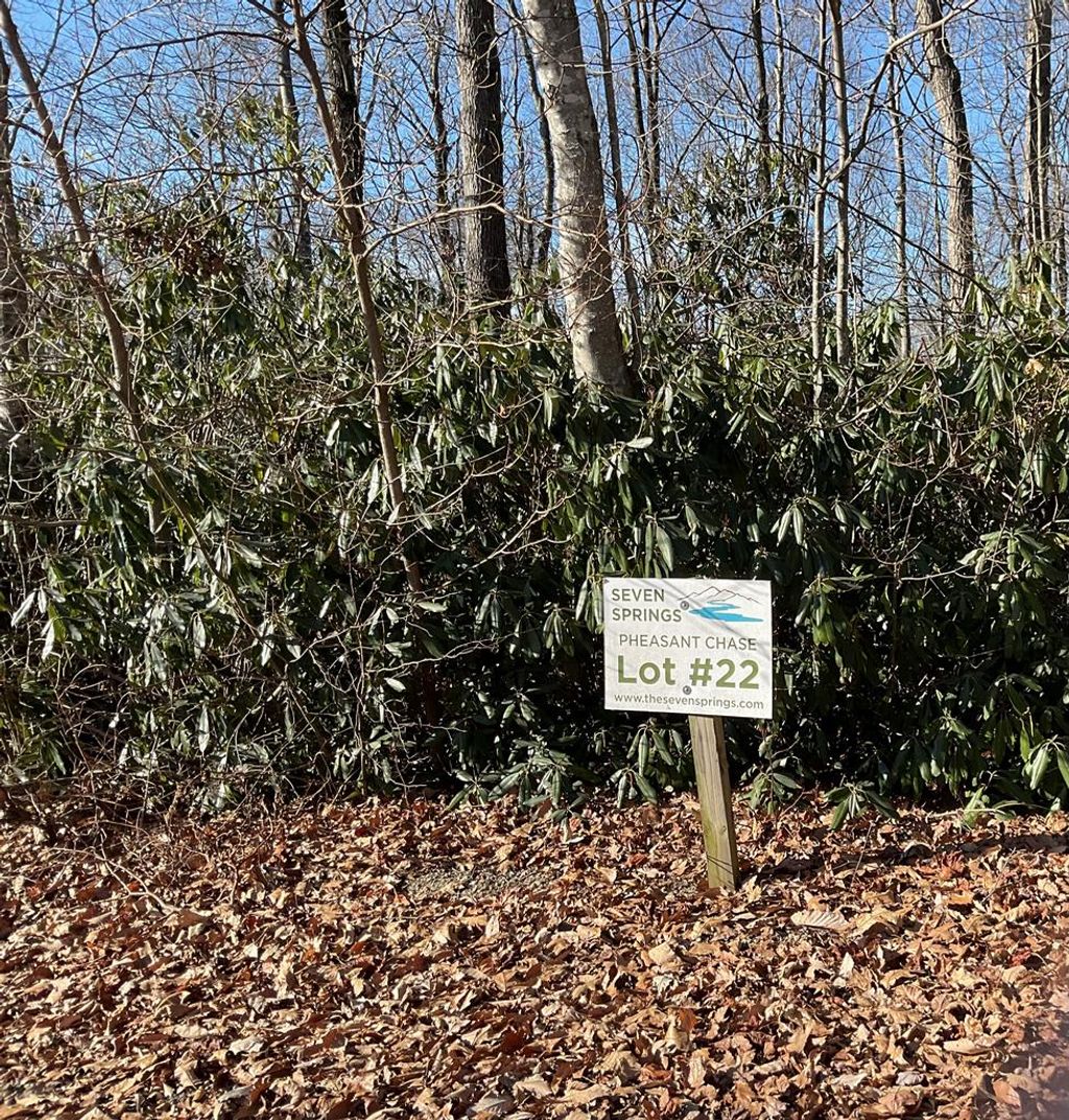 Photo of TBD West Pheasant Chase #21 ans 22, Fancy Gap, VA 24328 (MLS # 104234)