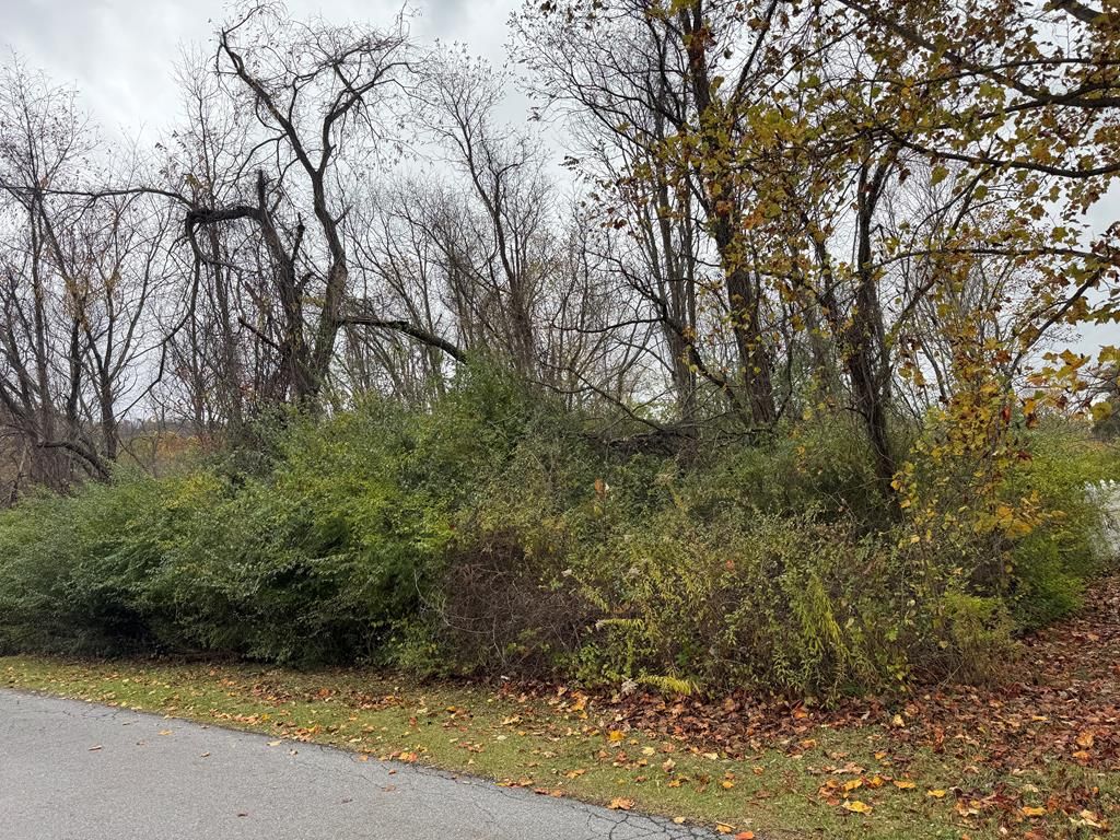 Photo of 0 Robin St #28, Bluefield, VA 24605 (MLS # 104117)