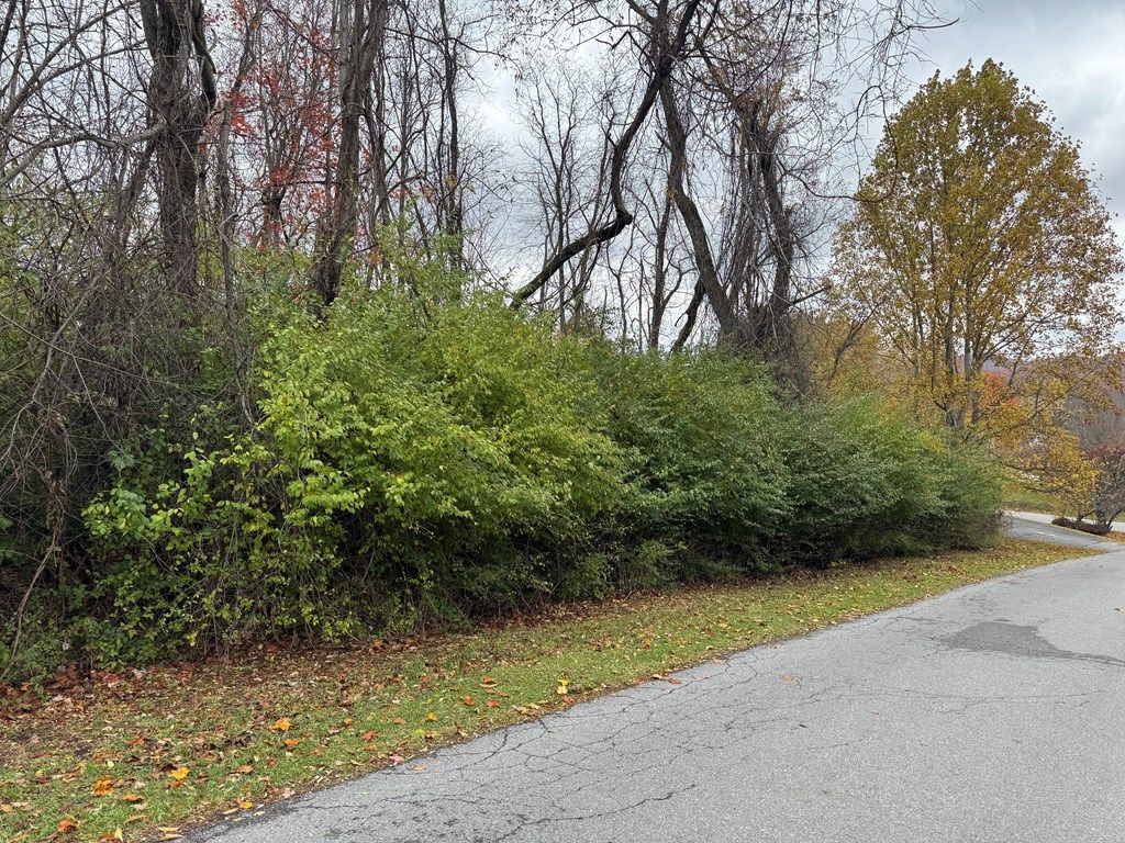 Photo of 0 Robin St #28, Bluefield, VA 24605 (MLS # 104117)