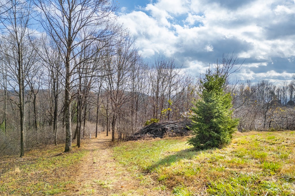 Fancy Gap, Virginia 24328, United States, ,Land,Active,33254