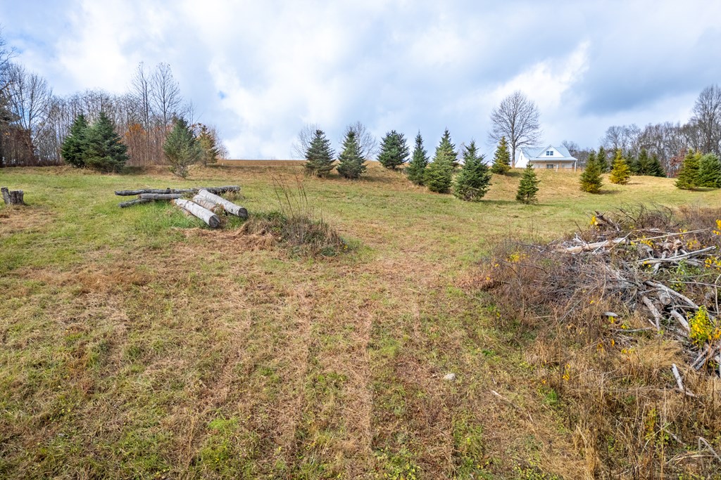 Fancy Gap, Virginia 24328, United States, ,Land,Active,33254